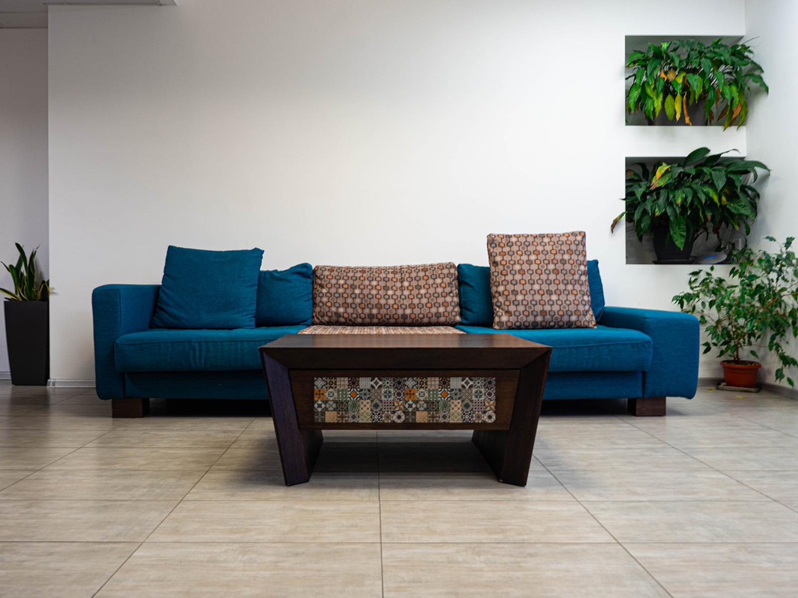 Where does it come from